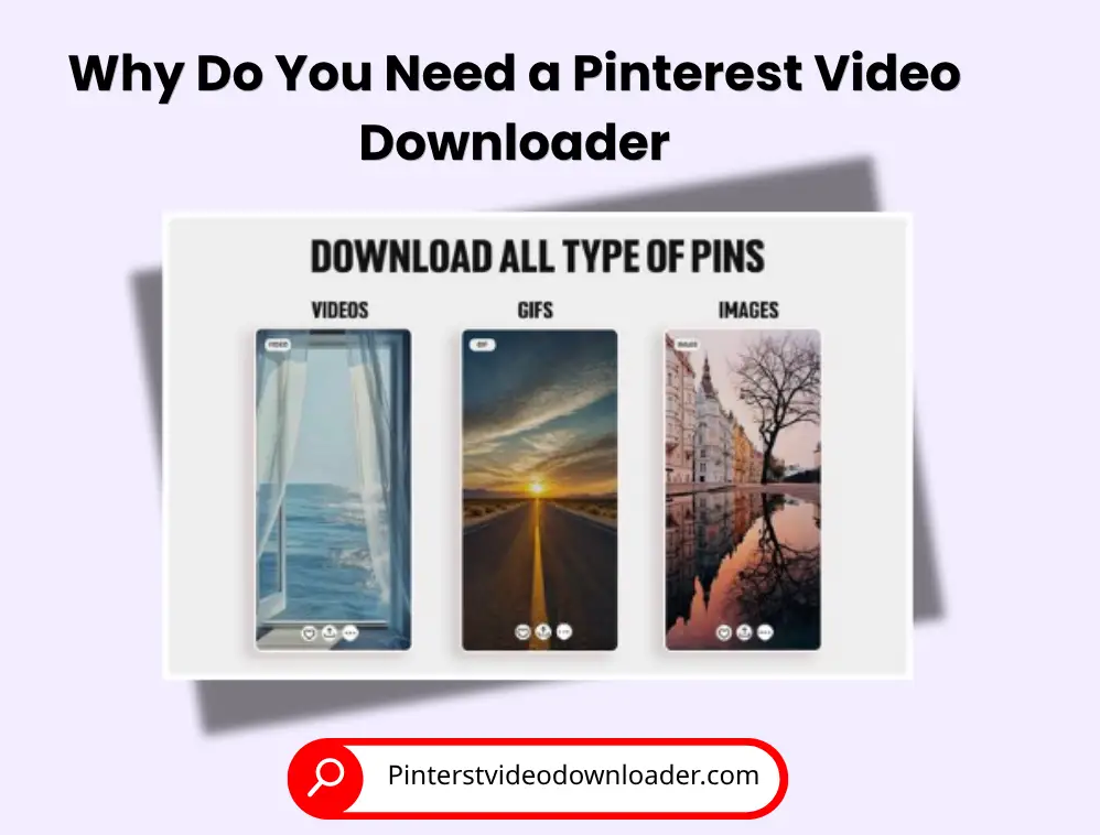Why Do You Need a Pinterest Video Downloader? Illustration explaining why you need a Pinterest video downloader for videos, GIFs, and images